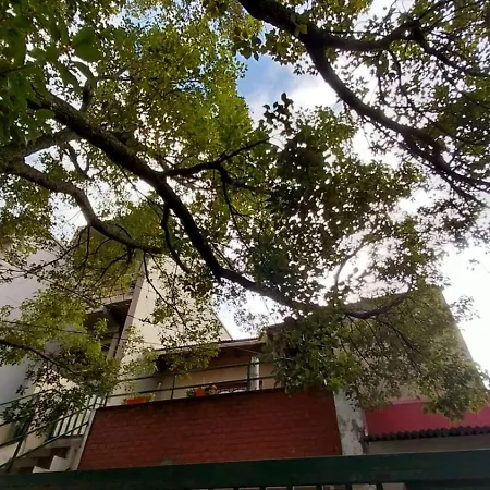 La Casa Del Arbol Apartment San Salvador de Jujuy Exterior photo