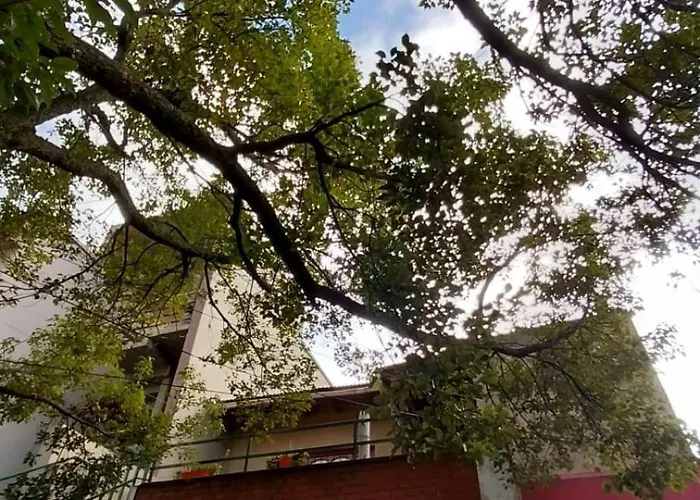 La Casa Del Arbol