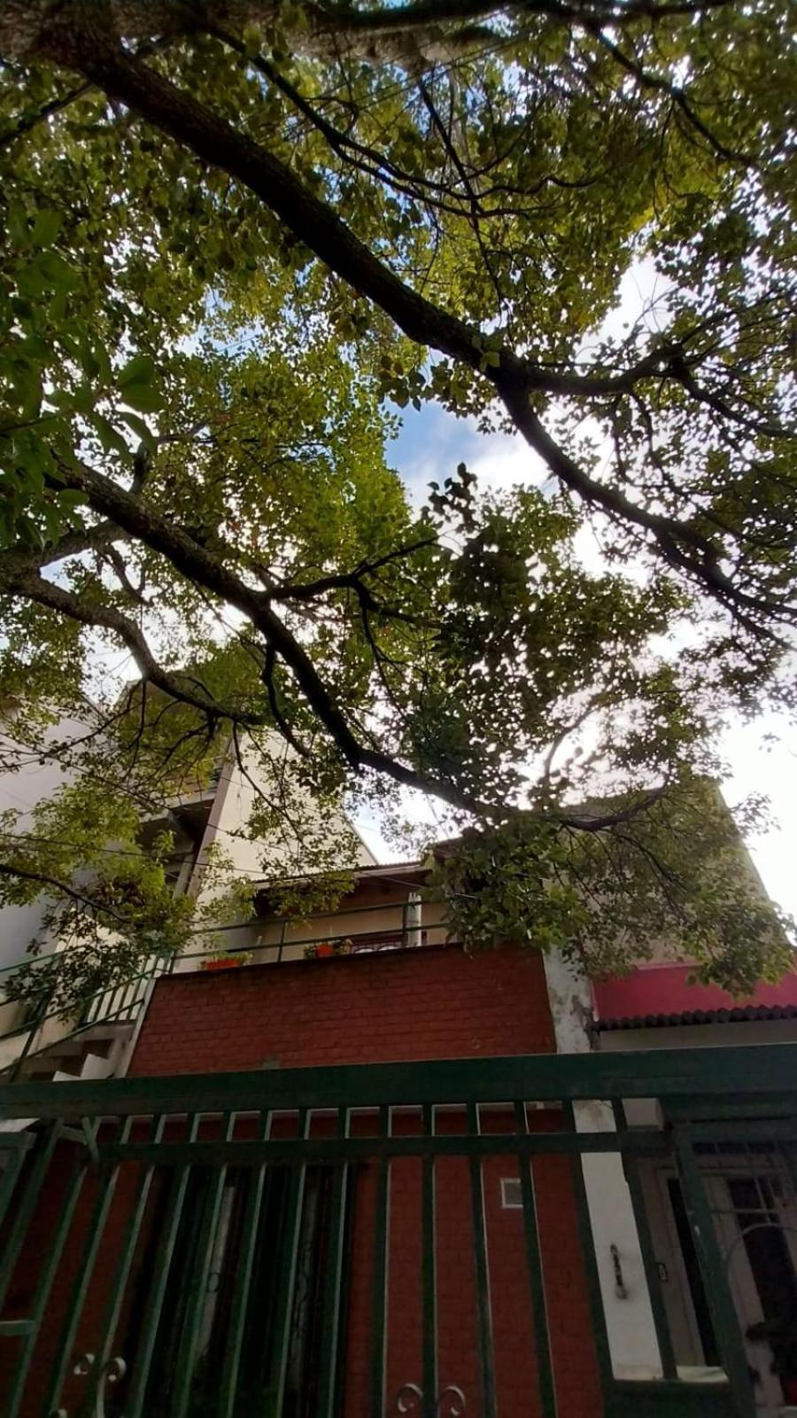 Apartment La Casa Del Arbol San Salvador de Jujuy